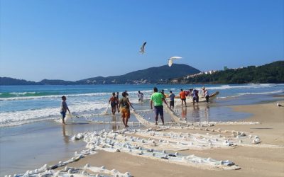 Temporada da Tainha em Bombinhas: Viva essa Tradição Única Entre Maio e Julho